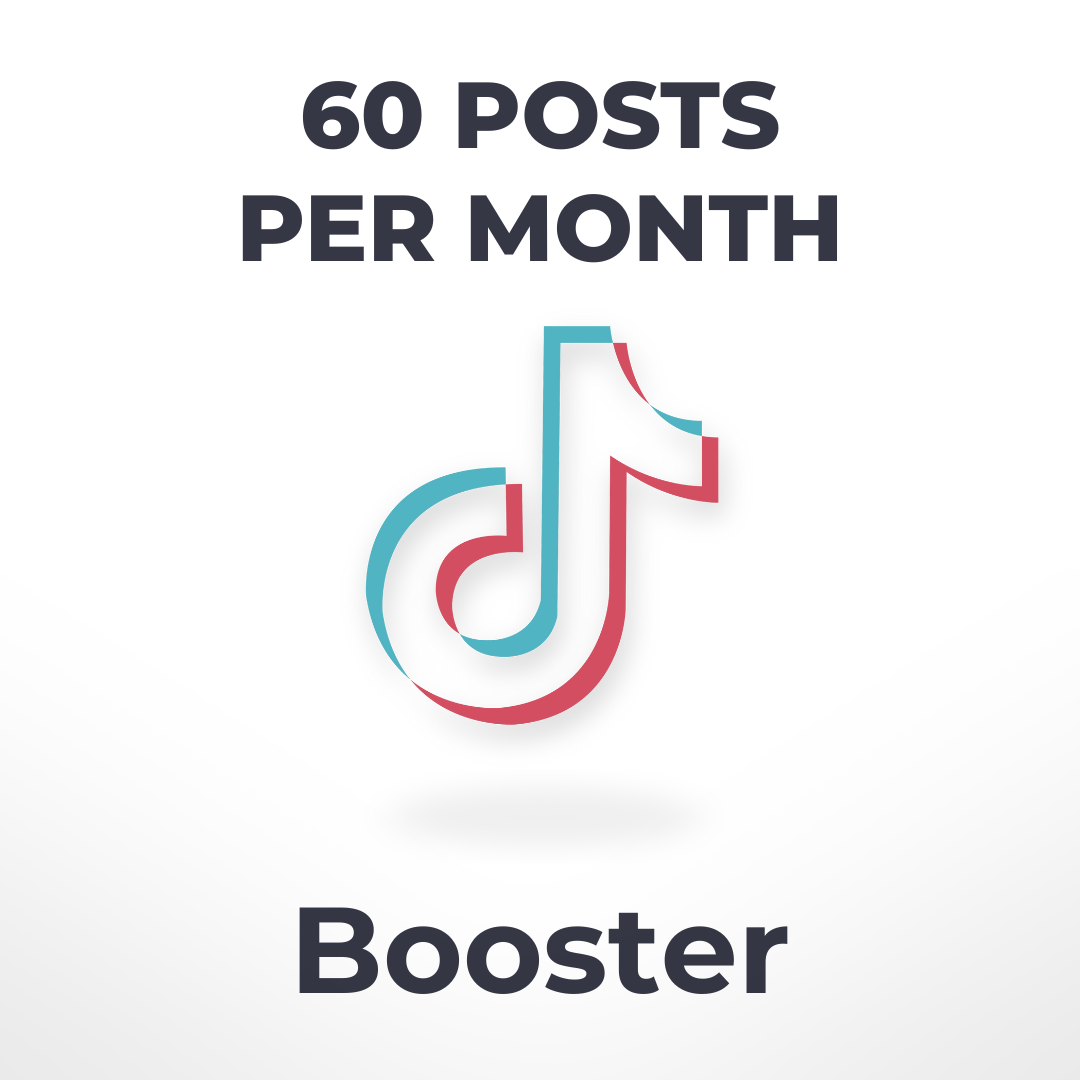 TikTok Influencer Booster | 60 Posts Per Month